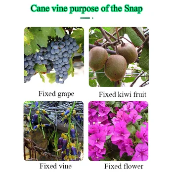 Садовые принадлежности Зажимы для поддержки виноградной лозы 100шт Рычажный Зажим для петли Зажимы для овощных растений Садовые Зажимы Для растений Захваты для поддержки посадки