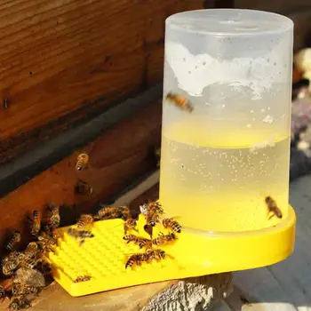 Оборудование для пчеловодства, поилка для пчел, прозрачные поилки для кормушки у входа в улей, необходимые для видимости